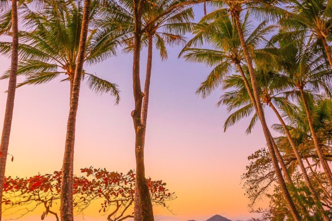Palm Coveimage - 1